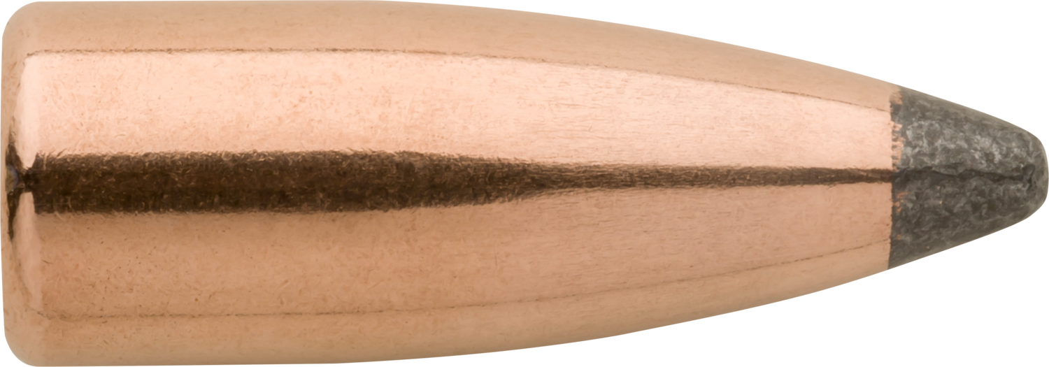 Sierra Pro-hunter, Sierra 2305  .311 125 Spt                  100