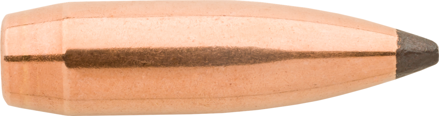 Sierra Gameking, Sierra 1395  .224  65 Sbt                  100