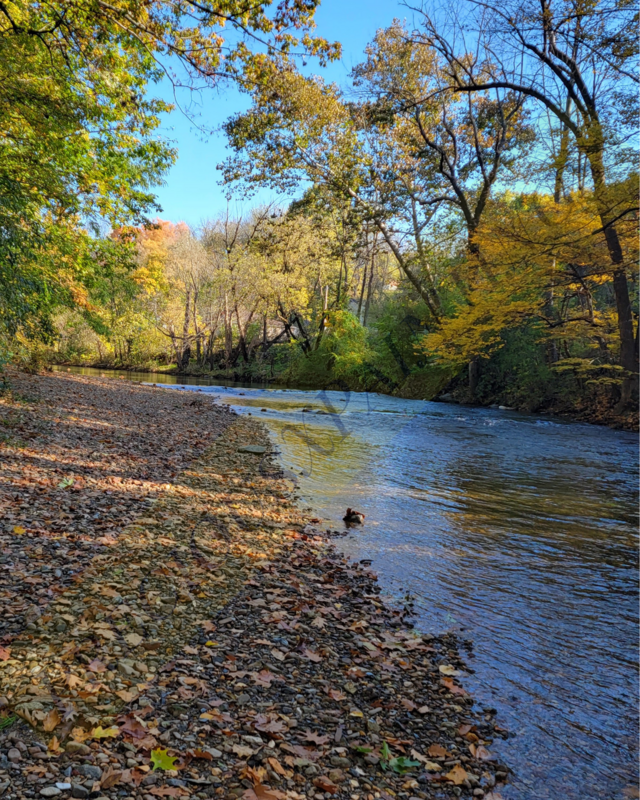 River Retreat