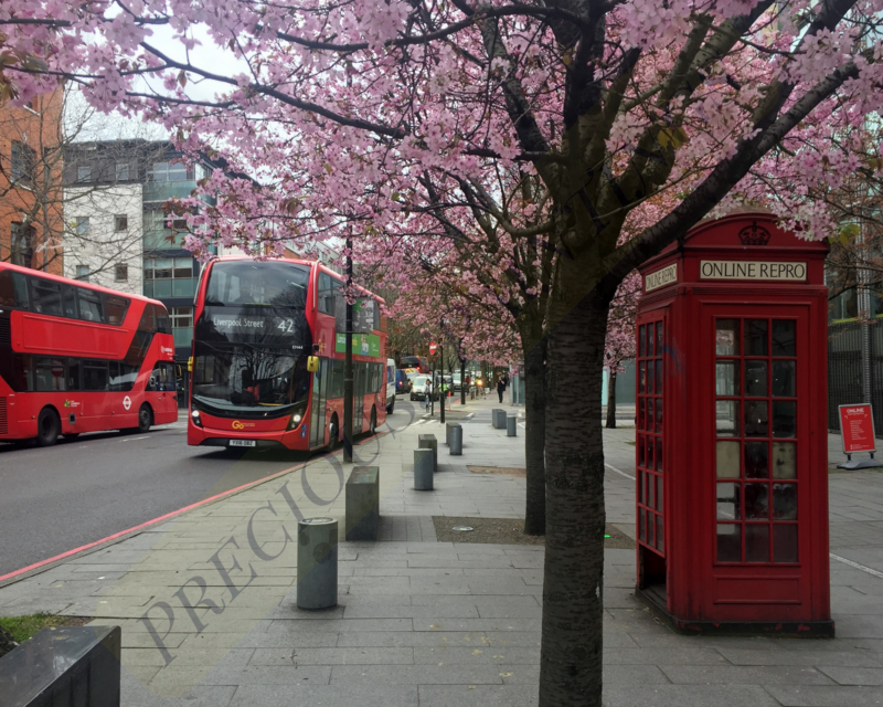 London Walk 3