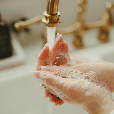 Liquid Hand Soap - White Musk + Praline