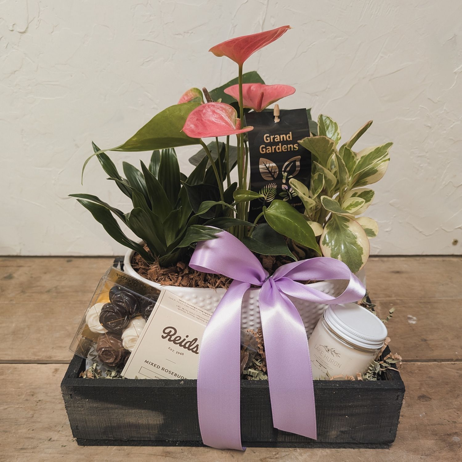 Tropical Garden Bundle