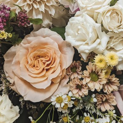 Soft + Delicate