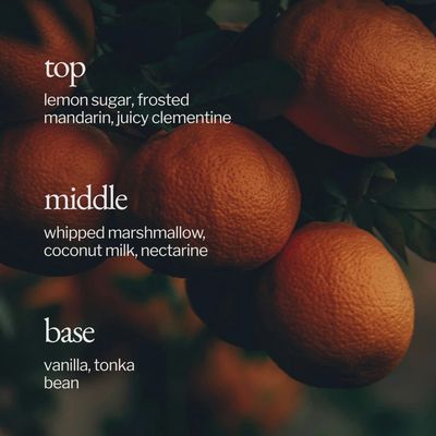 Reed Diffuser | Marshmallow + Clementine