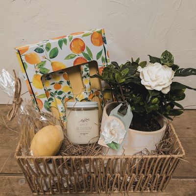 Gardenia Garden Basket - Mother's Day Special