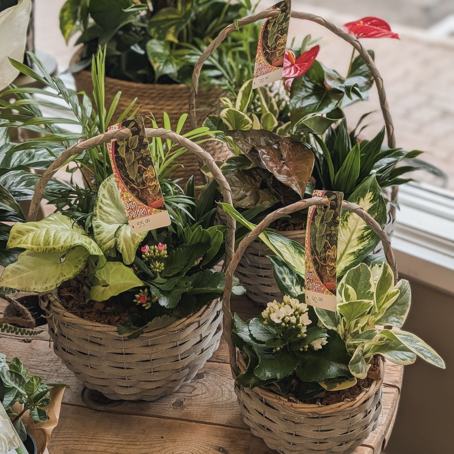 Mother's Day Plant Basket