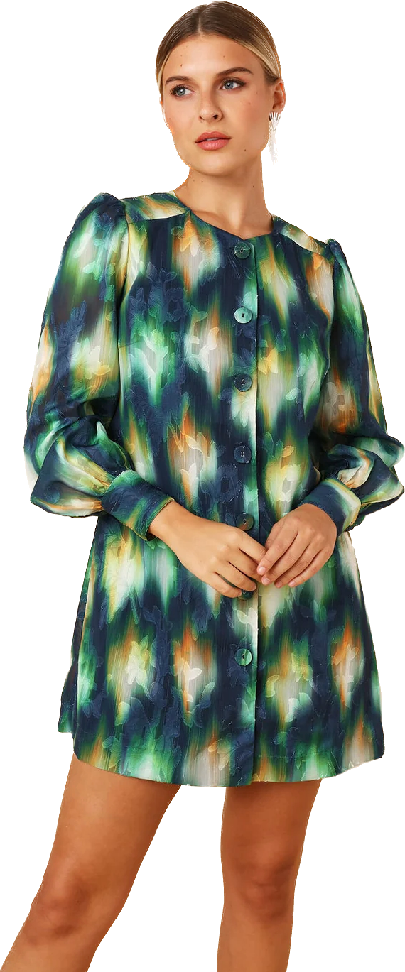 Ellen Dress | Starlight Burnout Chiffon