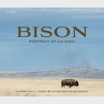 Bison: Portrait of An Icon