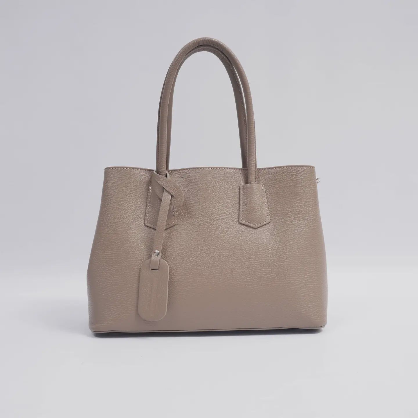 Leather Handbag in Taupe