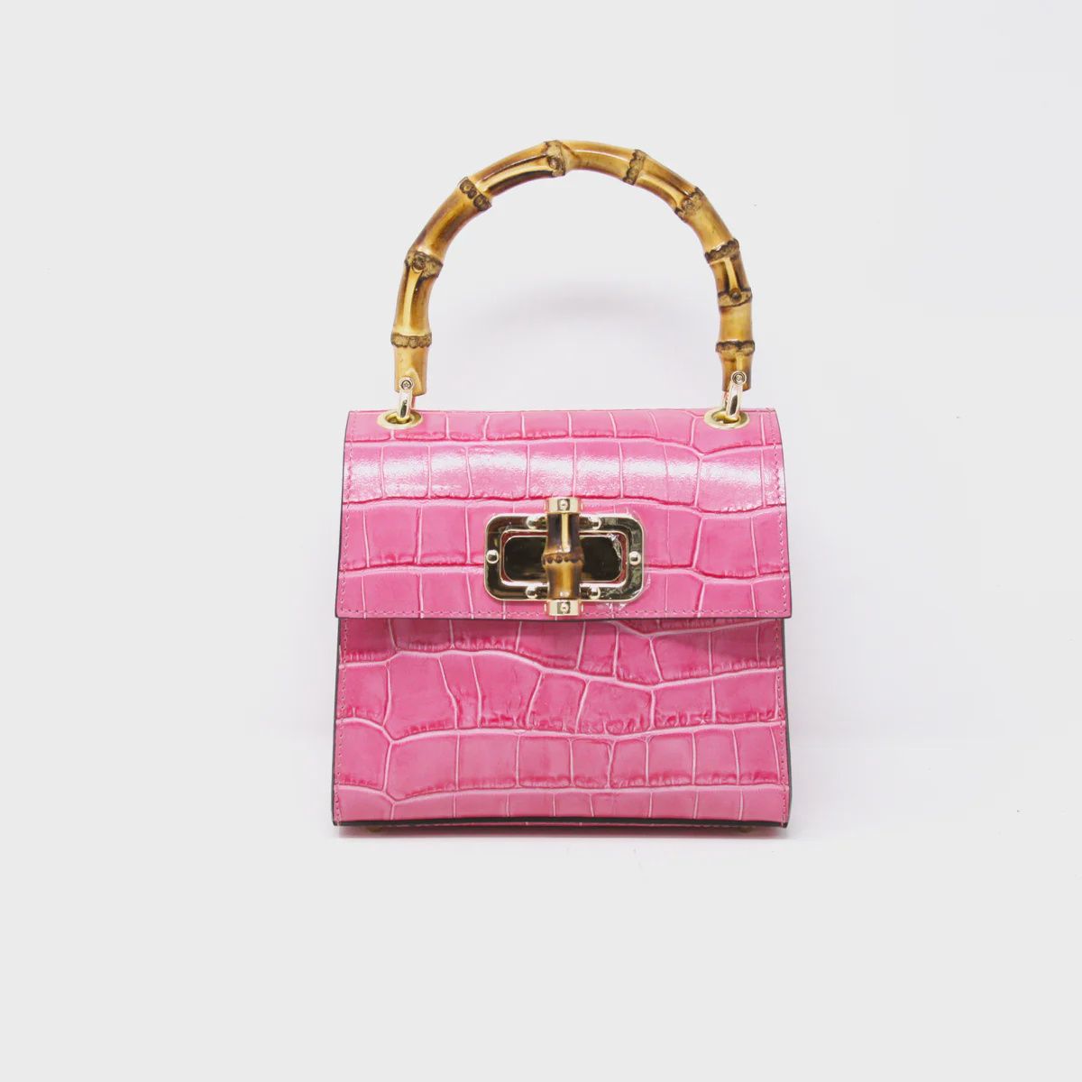 Leather Bag, Colour: Fuschia