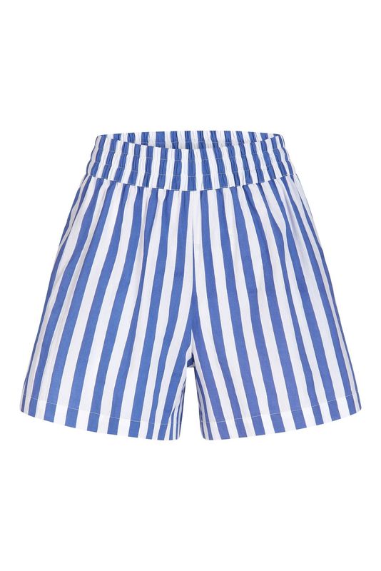 Pool Shorts in Blue Stripes
