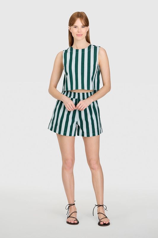 Pool Shorts in Dunlin Stripes