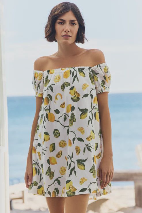Lina Mini Dress in Slice of Life