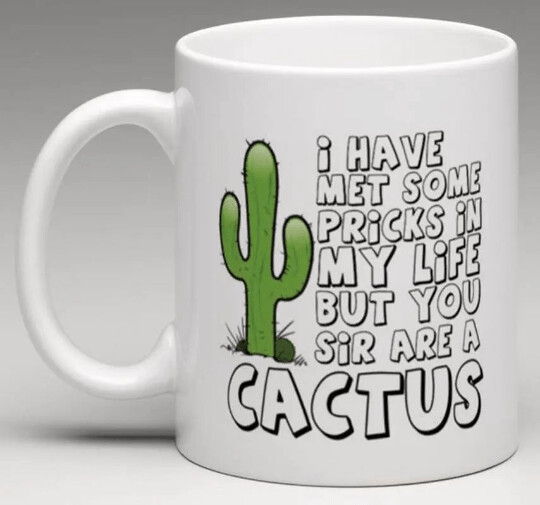 I have met some Pricks in my life but you Sir are a Cactus - Ceramic Mug