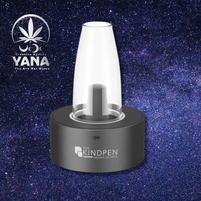 Smoke Device - Gags Kind Pen