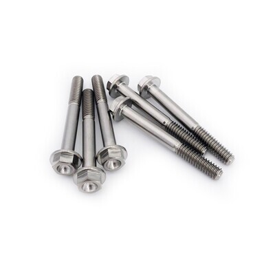 TITANIUM CLUTCH COVER BOLTS
