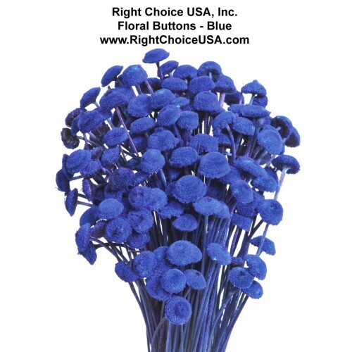 Floral Buttons- Blue