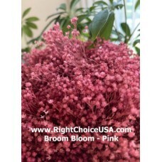 Broom Bloom- Pink- SOLD OUT!