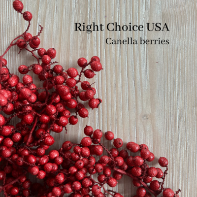 Canella Berries