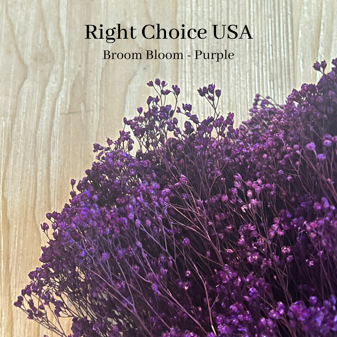 Broom Bloom- Purple