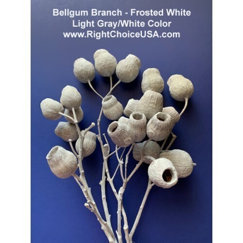 Bellgum Branch - Frosted white