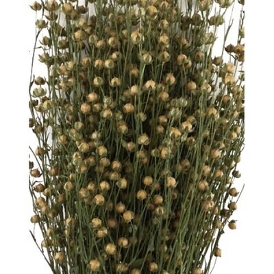 Flax- natural