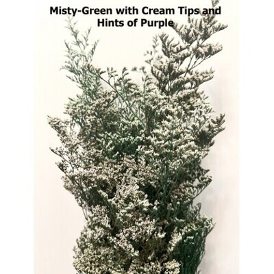 Caspia/ Misty - Green with White Tips