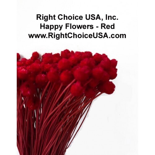 Happy Flower - Velvet red