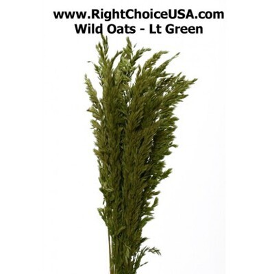 Wild Oats - Light green