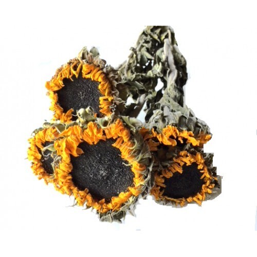Sunflowers - Dried
