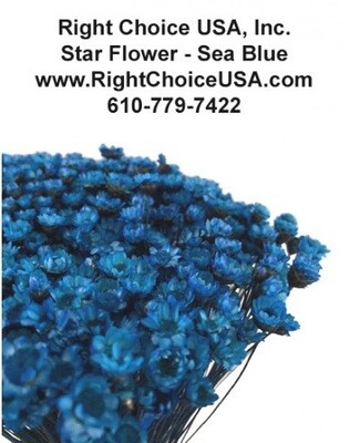 Star Flower - Blue