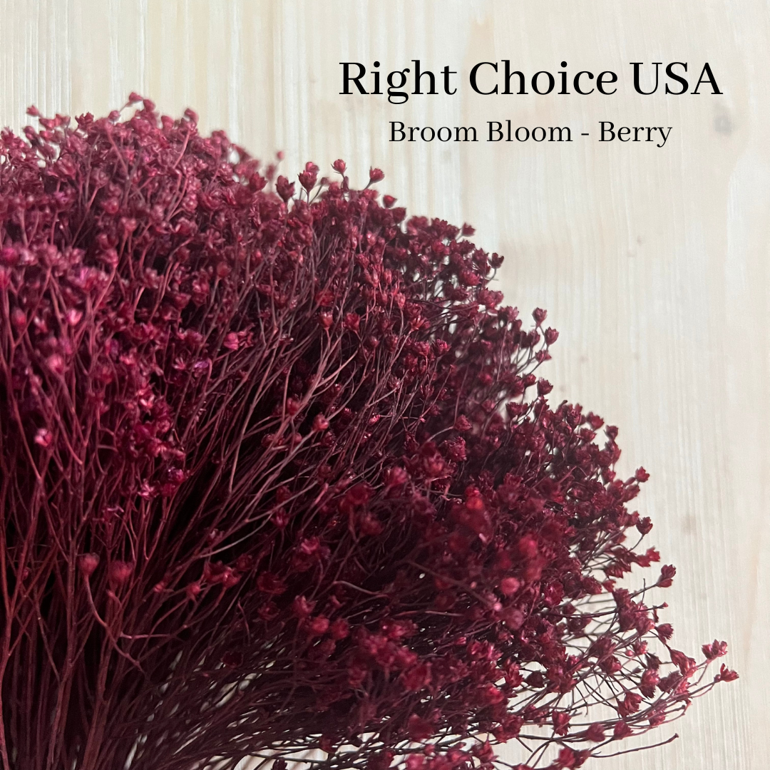 Broom Bloom- Berry-4oz
