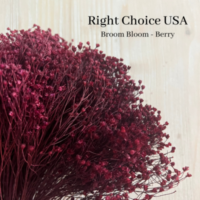 Broom Bloom- Berry-SOLD OUT!