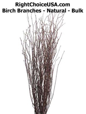 Birch Branches - Bulk 3-4' long - 300 per case