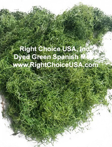 Spanish Moss - Dyed Green