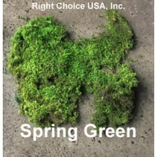 Sheet Moss (Preserved) - Spring green