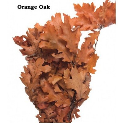 Oak Leaves - Orange (ETA approx. early Aug-Nov)