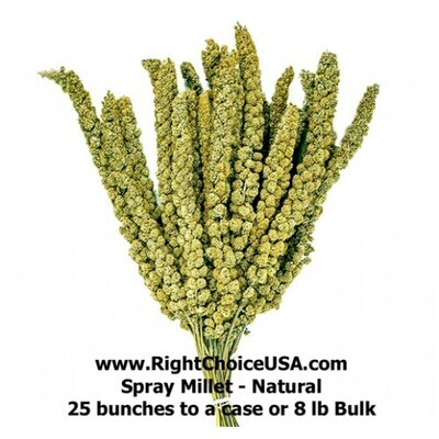 Spray Millet - Natural Green