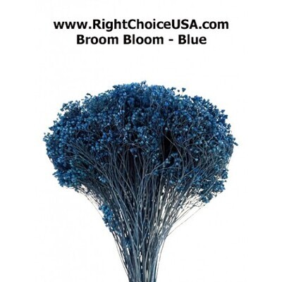 Broom Bloom- Blue