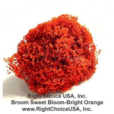 Sweet Bloom- Bright Orange x 15 per case