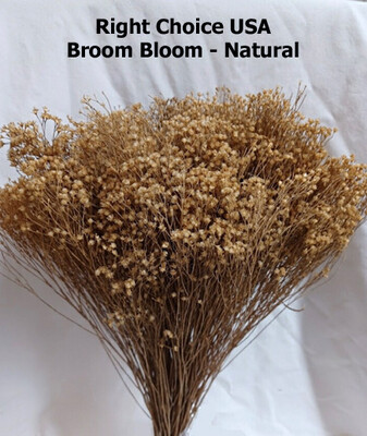 Broom Bloom- Natural