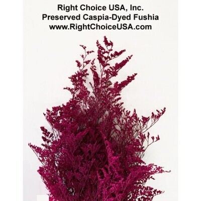 Caspia - Fuchsia-SOLD OUT!
Pre-book for mid/end of June