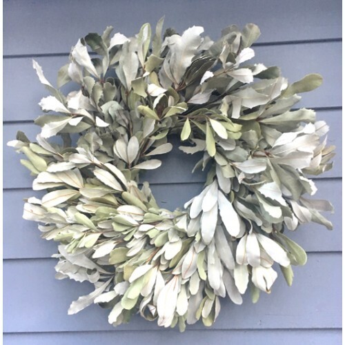 Integrifolia (Banksia Foliage) - Wreath