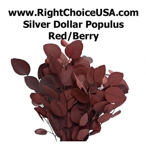 Silver Dollar POPULUS Eucalyptus- Red/ Berry