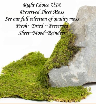 Moss, Preservant &amp; Colorant