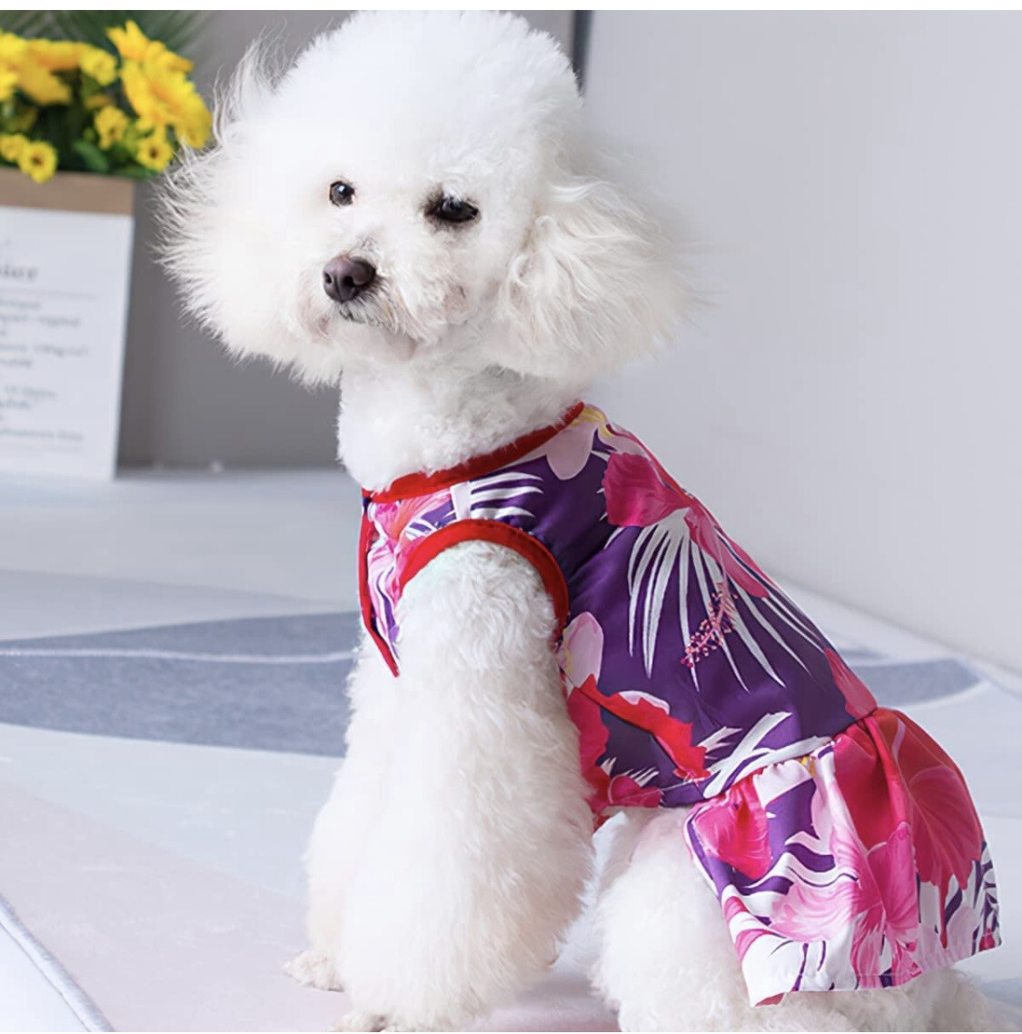 Girl   Doggie Dresses for Small Dogs  95.00TTD EACH    