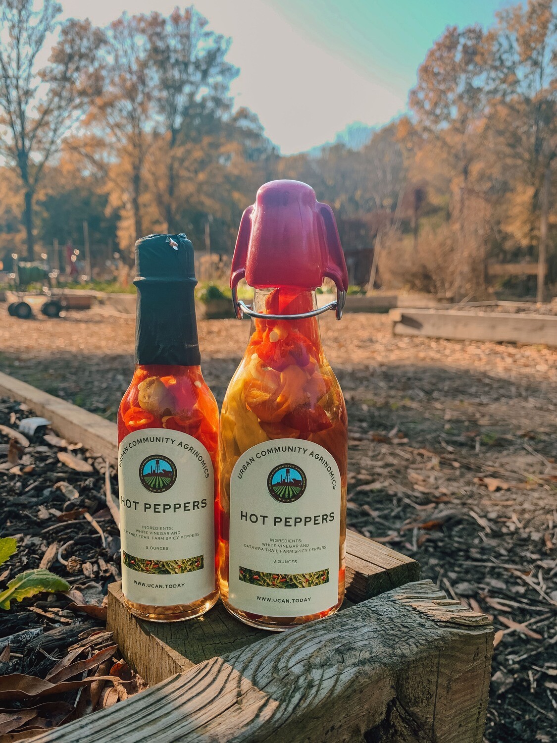 Hot Peppers (8oz)