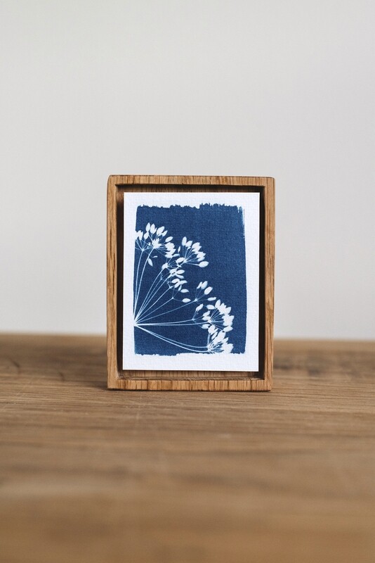 Cyanotype &quot;Ombelles&quot; - Taille S