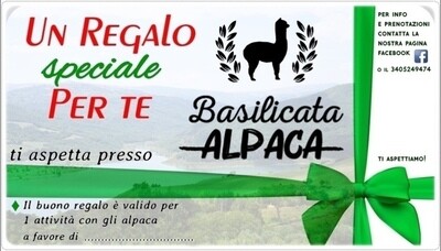 Voucher regalo attività con alpaca