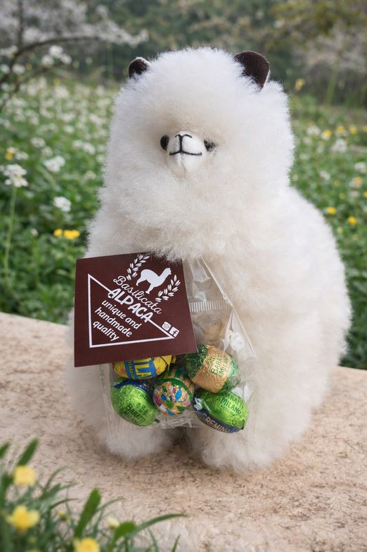 Peluche in lana di alpaca 23-24cm edizione di Pasqua con ovetti